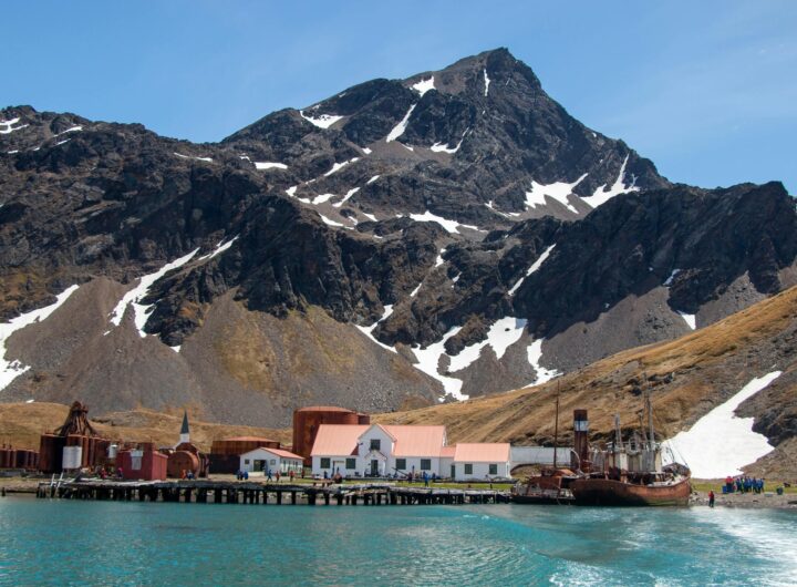 L'incredibile viaggio dell'avventuriero Schackleton verso il Polo Sud