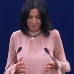 Plenaria di Strasburgo