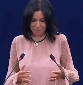 Plenaria di Strasburgo