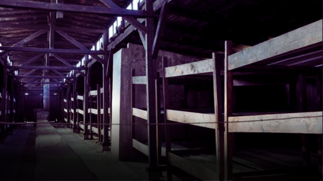 Roccella Auschwitz, polemica politica: «Servono a dire che l’antisemitismo appartiene solo al fascismo». Segre: «Come si fa a chiamarle gite?»