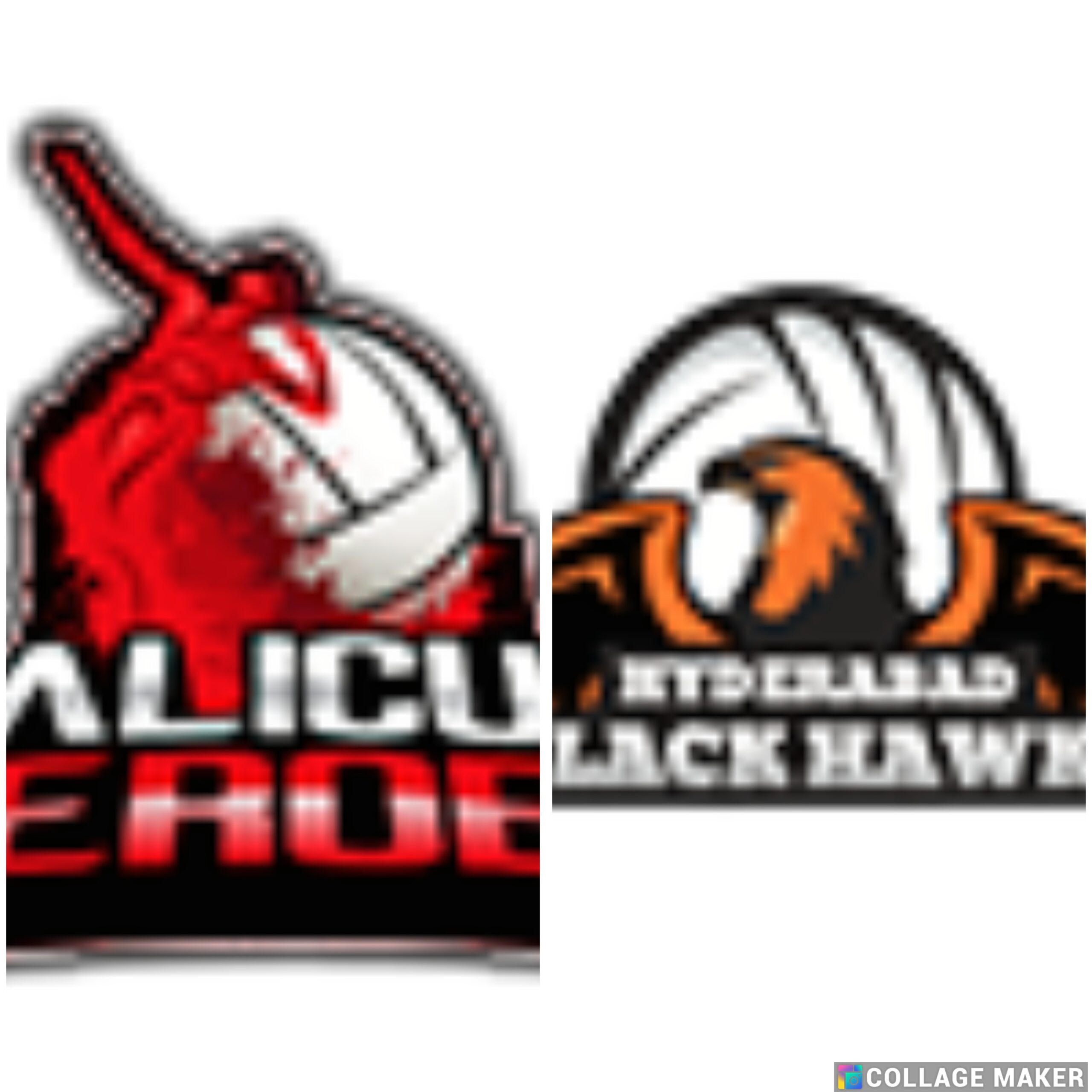 Hyderabad Black Hawks Calicut Heroes: 3 0 deciso