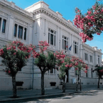 Università Mediterranea