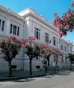 Università Mediterranea