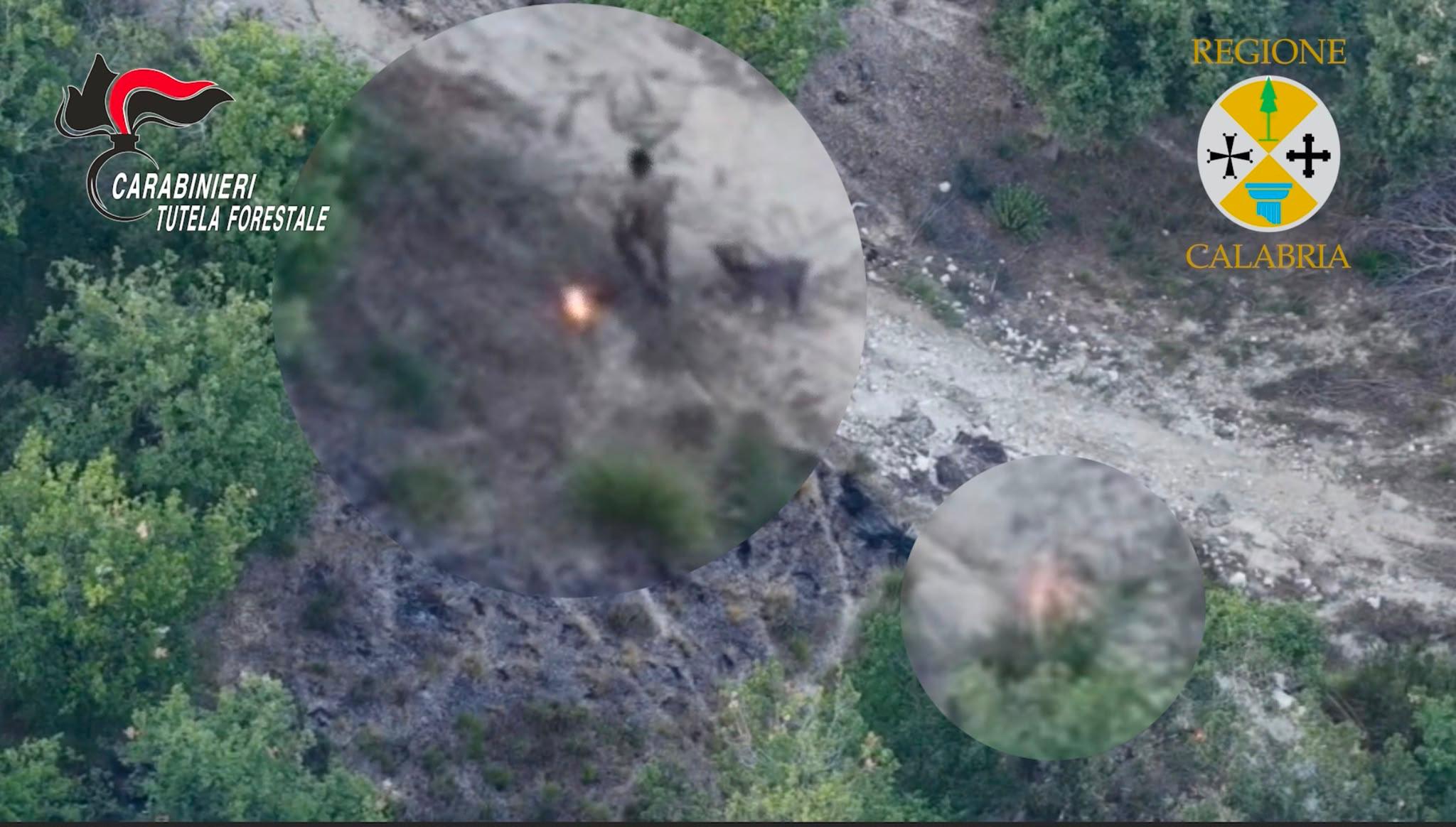 filandari arrestato allevatore per incendio boschivo decisivo il drone regionale da Gbt-magazine.com filandari arrestato allevatore per incendio boschivo decisivo il drone regionale