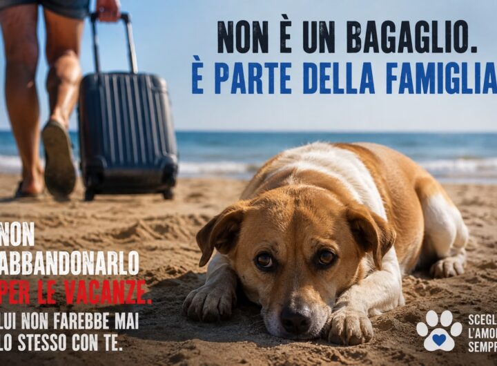 Vacanza animale