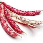 fagioli