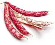 fagioli mon amour da Gbt-magazine.com fagioli mon amour