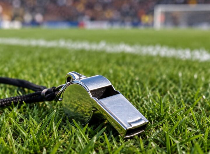 Arbitri legalità