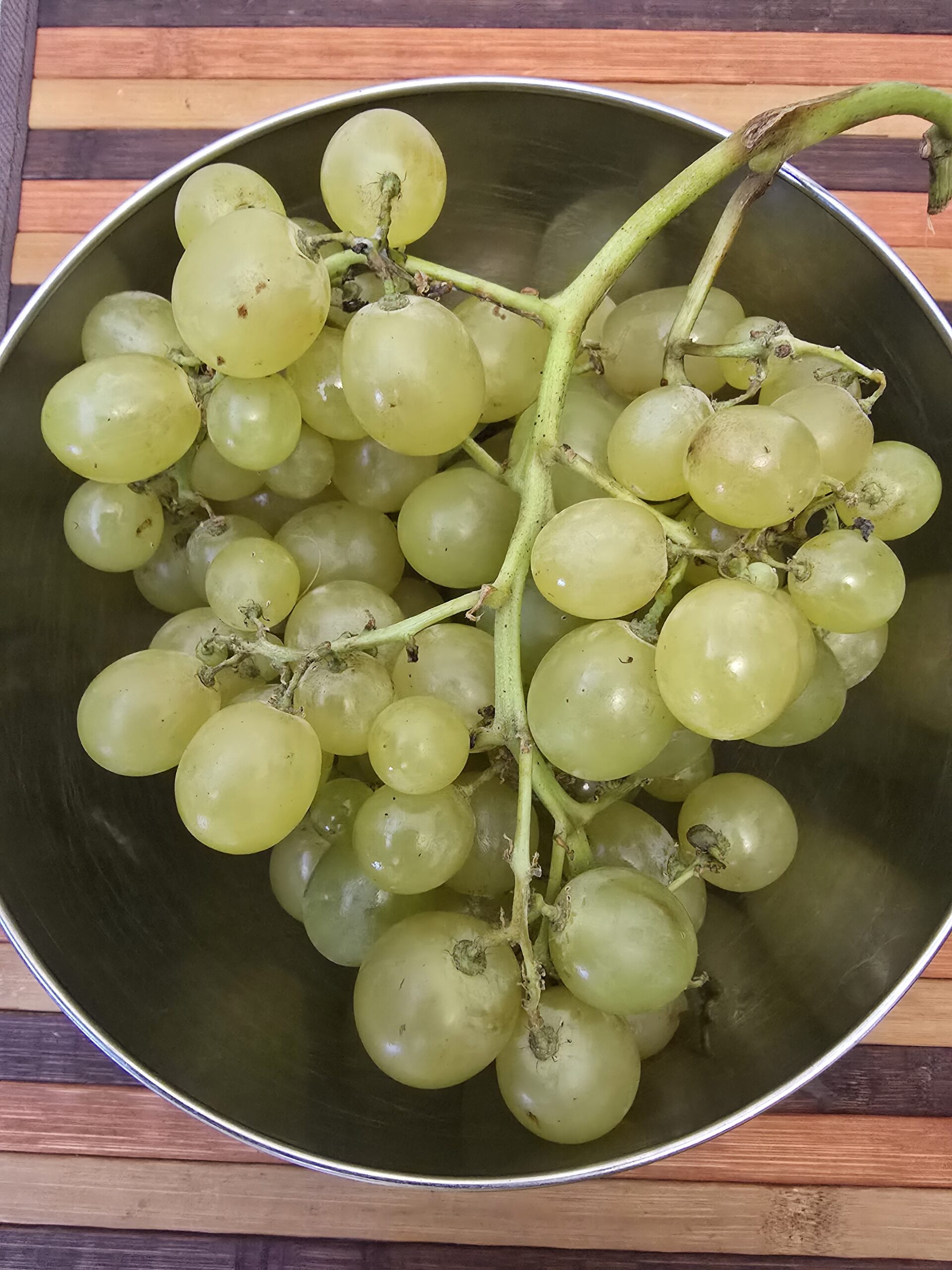 uva 200 il momento giusto per mangiarla e i noccioli non sono da scartare da Gbt-magazine.com uva 200 il momento giusto per mangiarla e i noccioli non sono da scartare